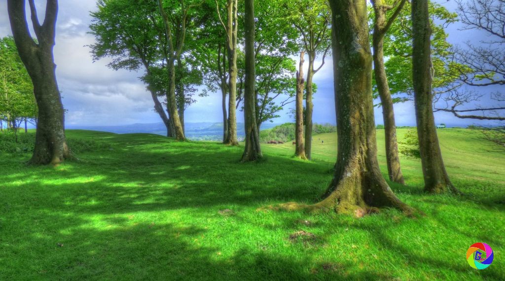 Chanctonbury Ring